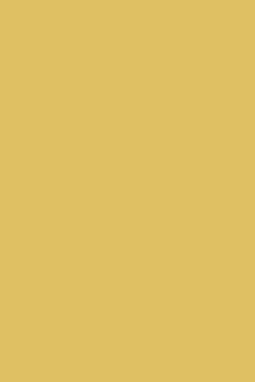 073 Ciara Yellow